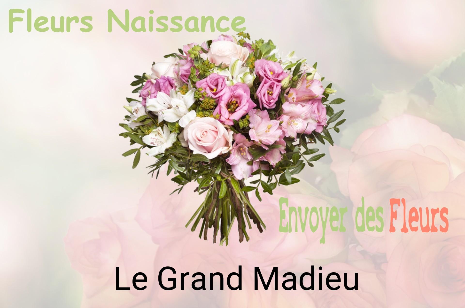 Bouquet de fleurs de naissance livré à Le Grand-Madieu