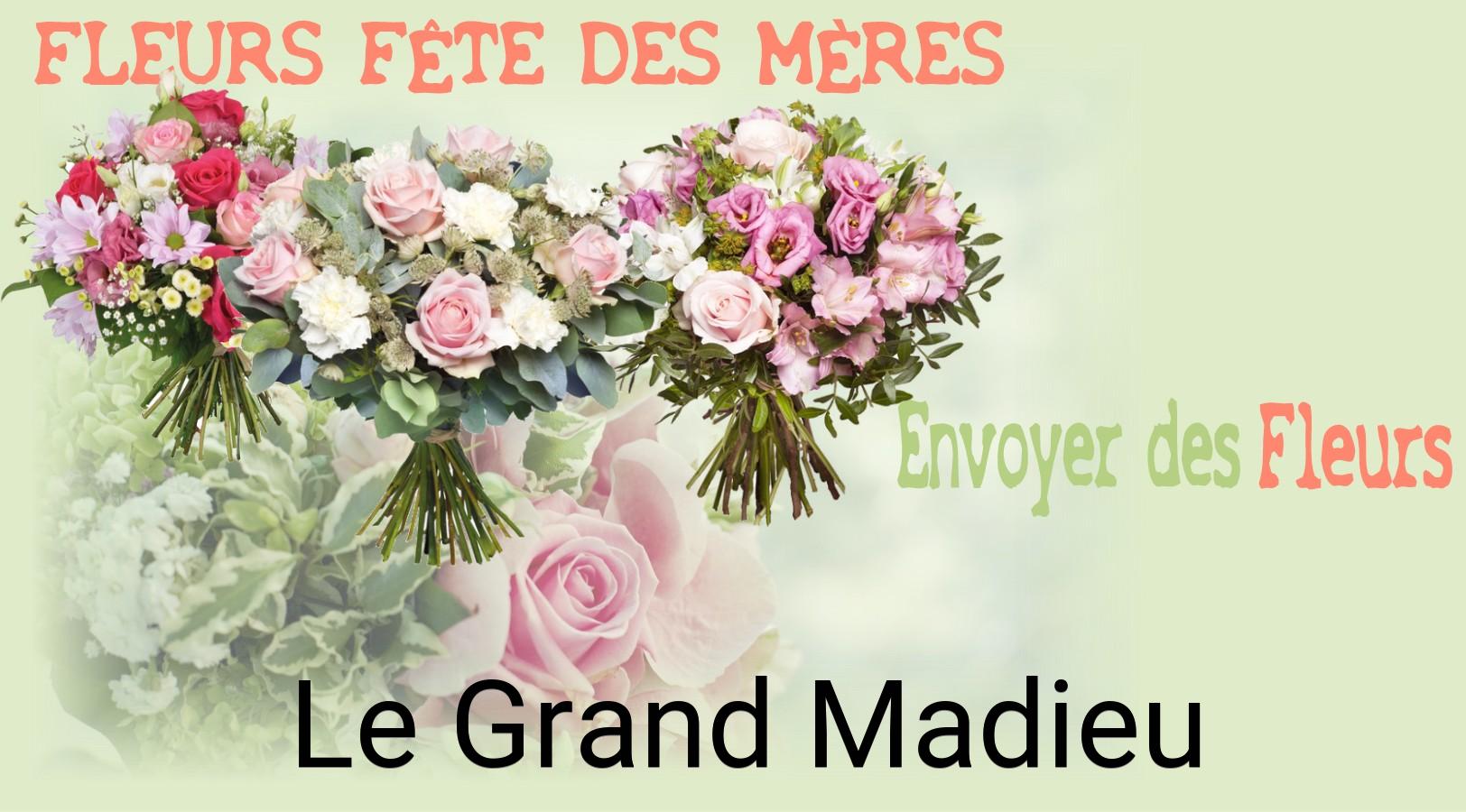 Bouquet de Fête des Mères livré à Le Grand-Madieu